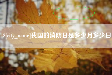 新疆我国的消防日是多少月多少日