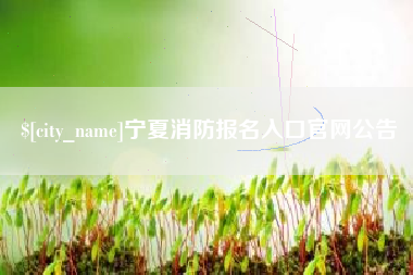 新疆宁夏消防报名入口官网公告