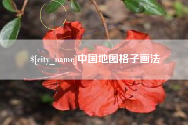 新疆中国地图格子画法