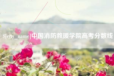 新疆中国消防救援学院高考分数线