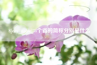 新疆34个省的简称分别是什么