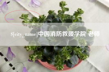 新疆中国消防救援学院 老师