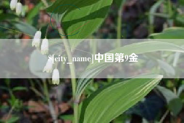 新疆中国第9金