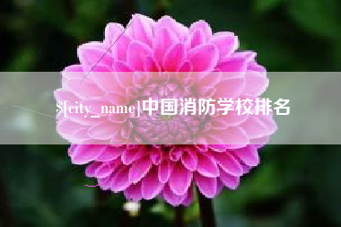 新疆中国消防学校排名