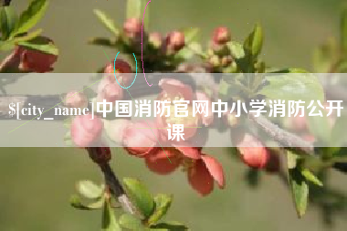 新疆中国消防官网中小学消防公开课