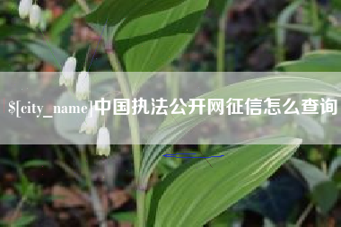 新疆中国执法公开网征信怎么查询