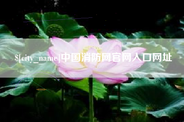 新疆中国消防网官网入口网址