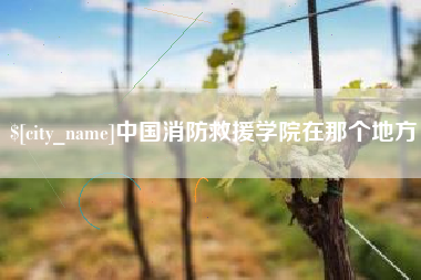 新疆中国消防救援学院在那个地方