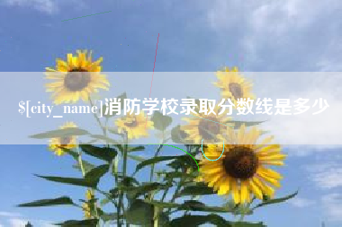新疆消防学校录取分数线是多少