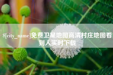 新疆免费卫星地图高清村庄地图看到人实时下载