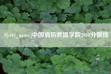 新疆中国消防救援学院2018分数线