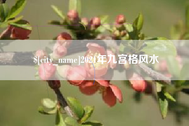 新疆2021年九宫格风水