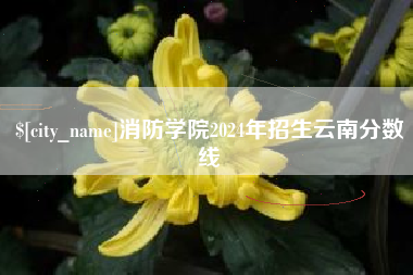 新疆消防学院2024年招生云南分数线