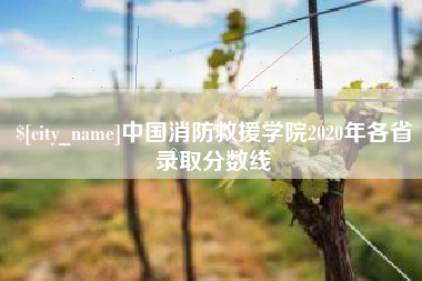 新疆中国消防救援学院2020年各省录取分数线
