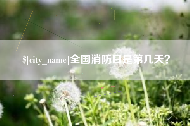 新疆全国消防日是第几天？