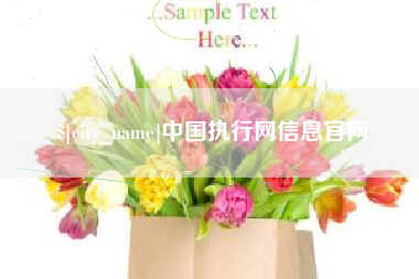 新疆中国执行网信息官网
