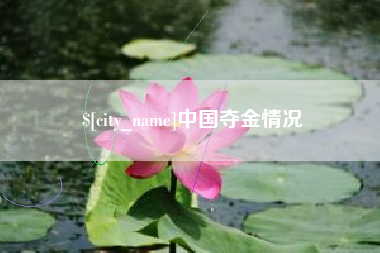 新疆中国夺金情况