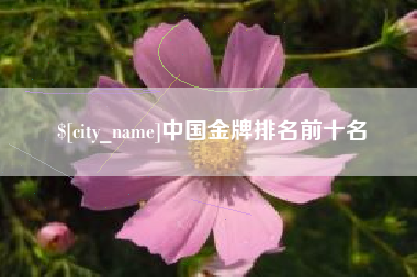 新疆中国金牌排名前十名