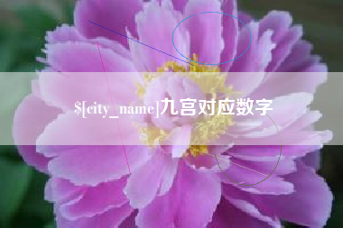 新疆九宫对应数字