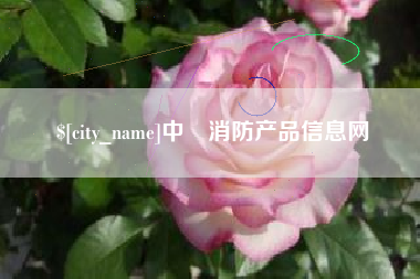 新疆中囯消防产品信息网