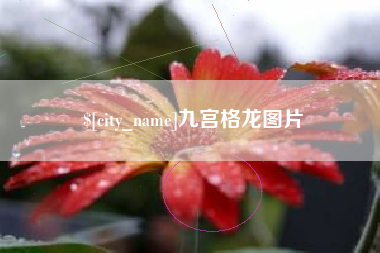 新疆九宫格龙图片
