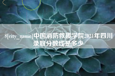 新疆中国消防救援学院2021年四川录取分数线是多少