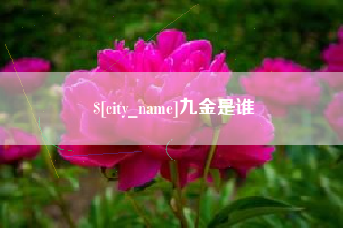 新疆九金是谁