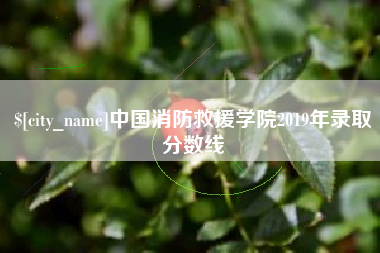 新疆中国消防救援学院2019年录取分数线