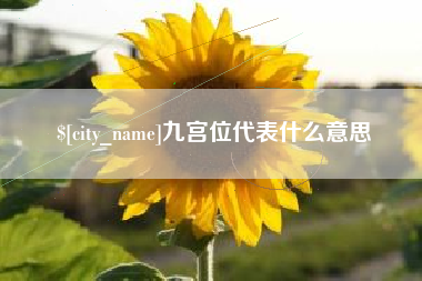 新疆九宫位代表什么意思