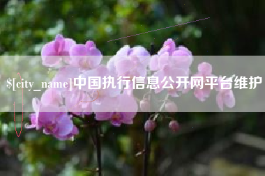 新疆中国执行信息公开网平台维护