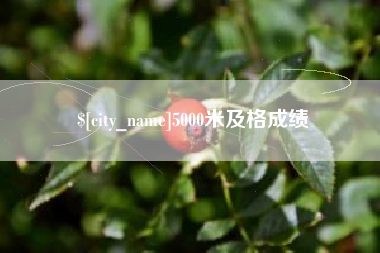 新疆5000米及格成绩