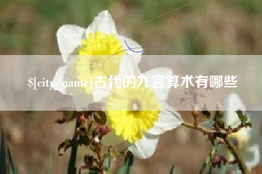 新疆古代的九宫算术有哪些