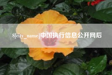 新疆中国执行信息公开网后