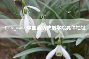 新疆中国消防救援学院具体地址