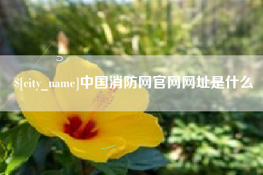 新疆中国消防网官网网址是什么