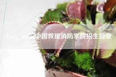 新疆中国救援消防学院招生简章