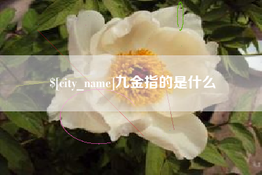 新疆九金指的是什么