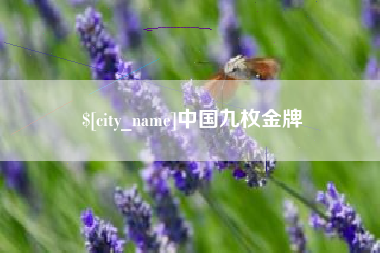 新疆中国九枚金牌