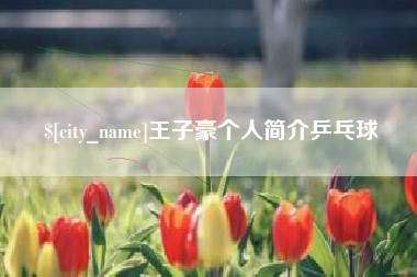 新疆王子豪个人简介乒乓球