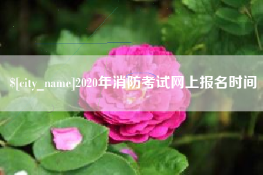新疆2020年消防考试网上报名时间