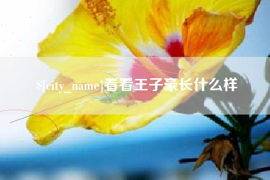 新疆看看王子豪长什么样