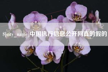 新疆中国执行信息公开网真的假的