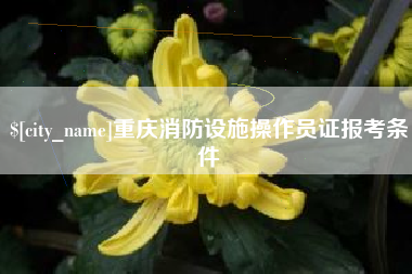 新疆重庆消防设施操作员证报考条件