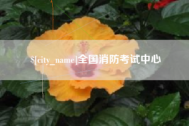 新疆全国消防考试中心