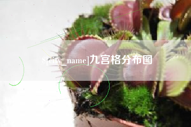 新疆九宫格分布图