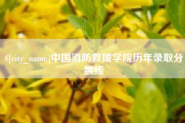 新疆中国消防救援学院历年录取分数线