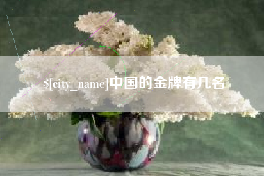 新疆中国的金牌有几名
