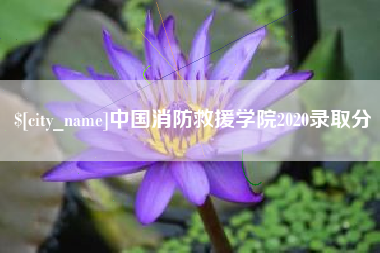新疆中国消防救援学院2020录取分