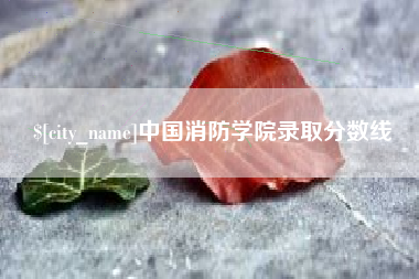 新疆中国消防学院录取分数线