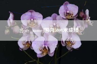 新疆国内5000米成绩